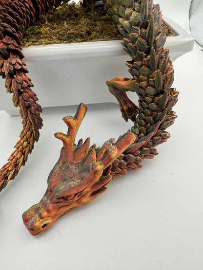 New bronze and copper dragons